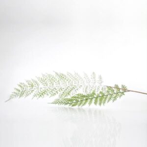 ΚΛΑΔΙ ΦΤΕΡΗ, ΜΕΝΤΑ, 92cm - Image 1