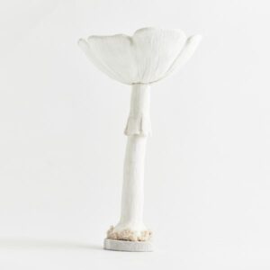 ΜΑΝΙΤΑΡΙ, ΛΕΥΚΟ, ΜΕ ΛΕΥΚΟ ΚΟΡΜΟ, 25x25x42cm - Image 1