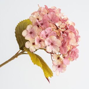 ΟΡΤΑΝΣΙΑ, ΜΠΕΖ-ΡΟΖ, 17x45cm - Image 1