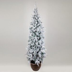 ΔΕΝΤΡΟ ΕΛΑΤΟ ΧΙΟΝΙΣΜΕΝΟ, ΣΤΟΚΧΟΛΜΗ, ΜΕ ΓΛΑΣΤΡΑΚΙ, 210cm - Image 1