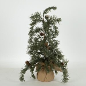 ΔΕΝΤΡΑΚΙ ΙΤΙΑ, 54cm - Image 1