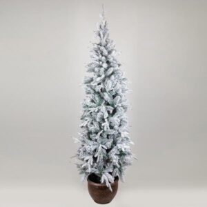 ΔΕΝΤΡΟ ΕΛΑΤΟ ΧΙΟΝΙΣΜΕΝΟ, ΣΤΟΚΧΟΛΜΗ, ΜΕ ΓΛΑΣΤΡΑΚΙ, 240cm - Image 1