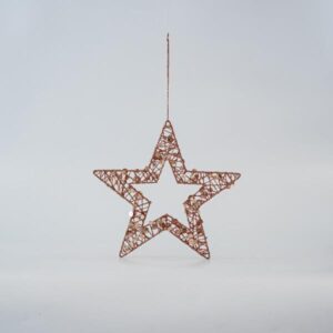 ΑΣΤΕΡΙ ΜΕ ΠΑΓΙΕΤΕΣ, ΣΑΜΠΑΝΙ, 25cm - Image 1