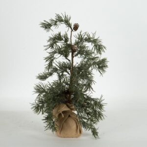 ΔΕΝΤΡΑΚΙ ΙΤΙΑ, 44cm - Image 1