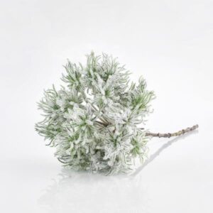 ΚΛΑΔΙ ANEMΩNH, ΜΕΝΤΑ, 64cm - Image 1