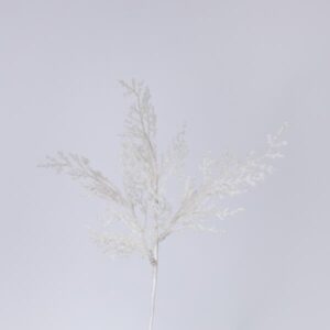 ΦΤΕΡΗ ΛΕΥΚΗ, 28cm, ΣΕΤ 2ΤΜΧ (TOP 120) - Image 1