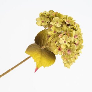 ΟΡΤΑΝΣΙΑ, ΠΡΑΣΙΝΗ, 17x45cm - Image 1