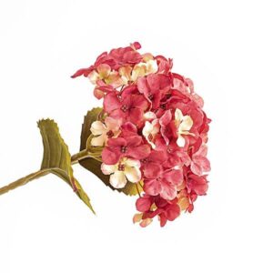 ΟΡΤΑΝΣΙΑ, ΜΠΟΡΝΤΩ, 17x45cm - Image 1