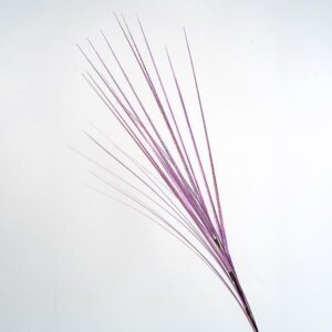 ΚΛΑΔΙ, ΛΙΛΑ ΜΕΤΑΛΙΖΕ, 80cm - Image 1