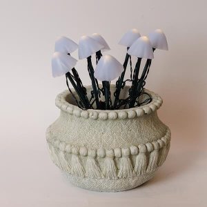 ΣΕΙΡΑ, 8 LED 5mm, ΛΕΥΚΑ ΠΛΑΣΤΙΚΑ ΜΑΝΙΤΑΡΙΑ H20cm, ΗΛΙΑΚΟ ΠΑΝΕΛ ΜΕ ΑΙΣΘΗΤΗΡΑ ΦΩΤΟΣ, ΠΡΑΣΙΝΟ PVC ΚΑΛΩΔΙΟ, ΘΕΡΜΟ ΛΕΥΚΟ LED ANA 50cm, ΠΡΟΕΚΤΑΣΗ ΠΑΡΟΧΗΣ 1m, IP44 - Image 1